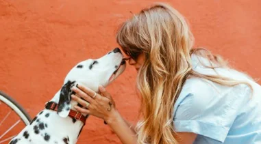 Animali, più di 7 italiani su 10 preferiscono l'adozione